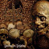 Cryptic Defilement : Decay on Display